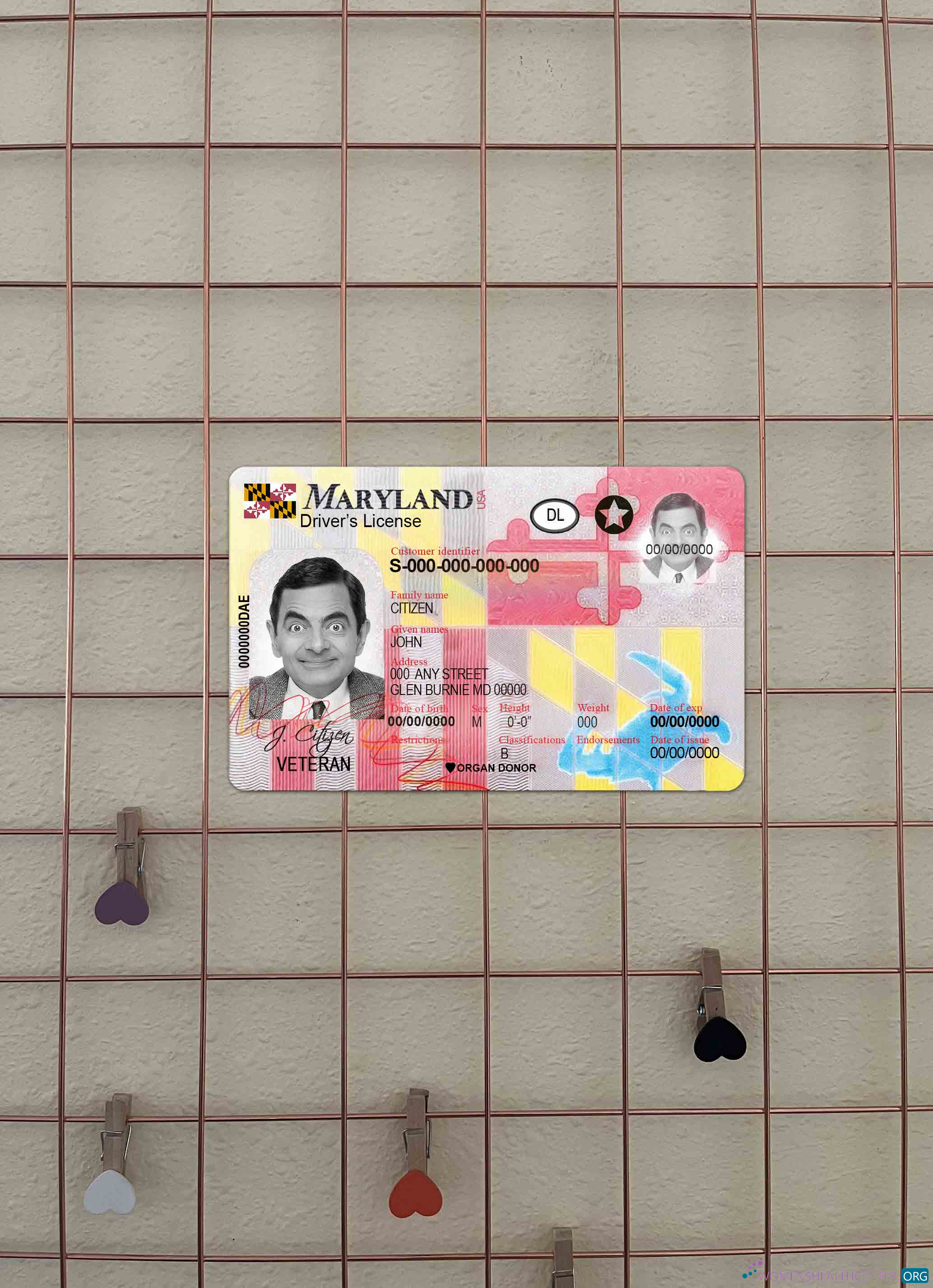 Download USA Maryland DL 2016   present photolook FRONT Photoshop template